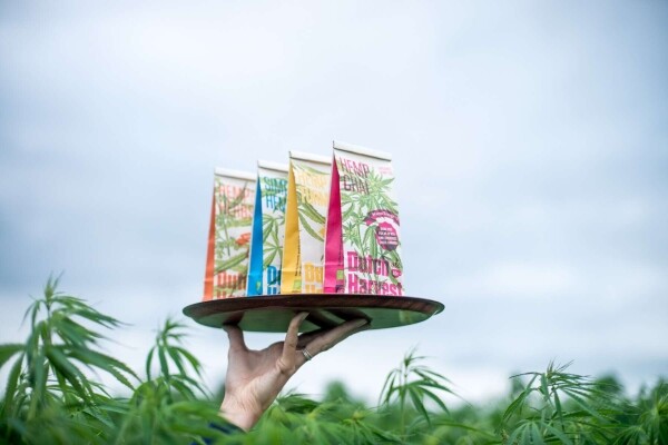 Hennep & Kurkuma - Hennep & Kurkuma thee 50 gram - Dutch Harvest losse thee